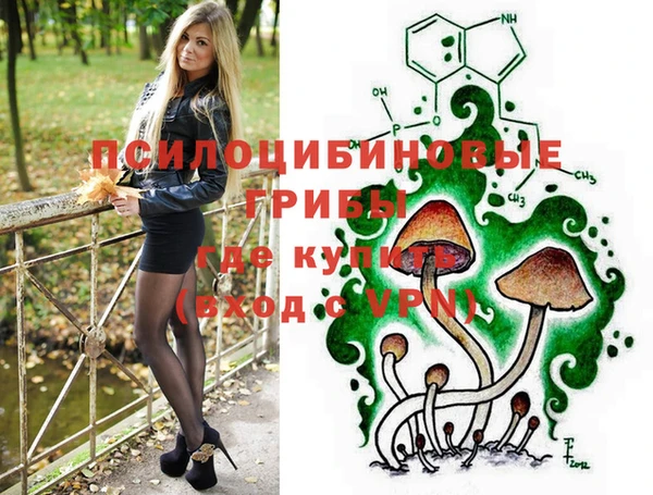 МДПВ Алексеевка